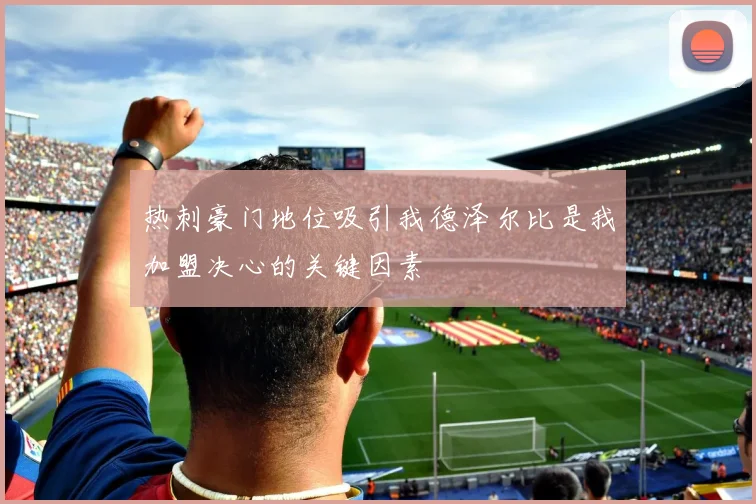 热刺豪门地位吸引我德泽尔比是我加盟决心的关键因素
